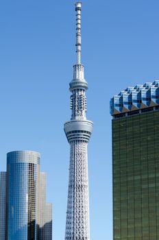 TOKYO,JAPAN-OCT 11 : Building Tokyo Sky Tree.on Oct 11,2013 in Tokyo, Japan.