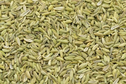 
Dried fennel seeds background closeup