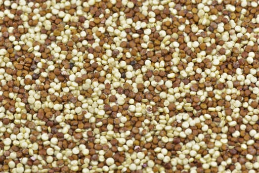 White and red quinoa background