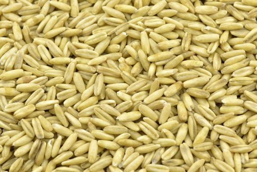 Oat seeds background in  closeup 