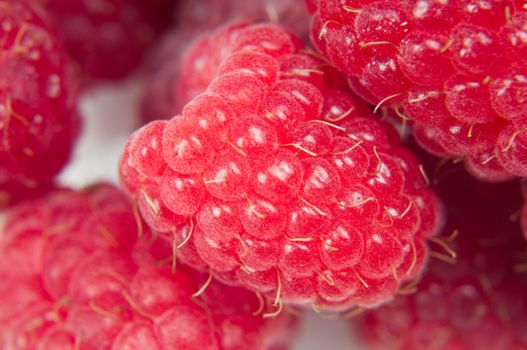 Macro shot of ripe red raspberry, close-up