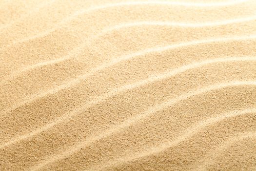 Sand texture for background. Sandy beach. Macro shot