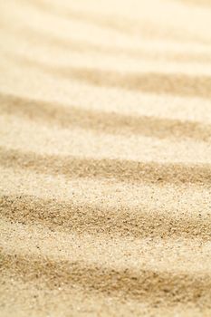 Sand texture for background. Sandy beach for summer composition