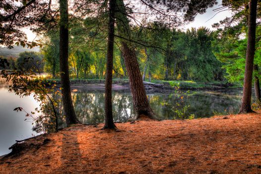 HDR landscape of a forest and pond.