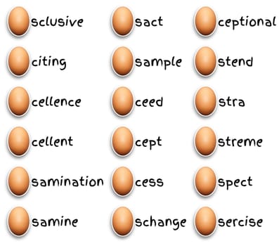 Illustration of eggs and egg related words