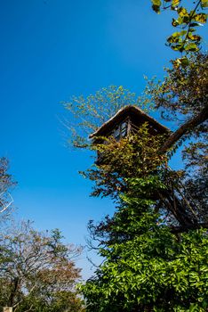 House on the tree on the mountain for view wildfires.