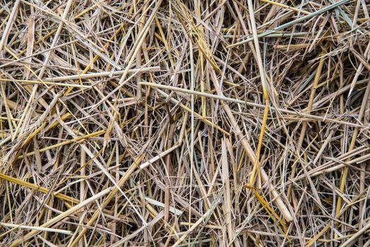 Zoom shot out of focus straw for background.
