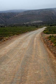 A dirt road on safari in Africa