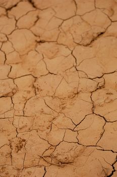 A dry water hole showing cracked mud