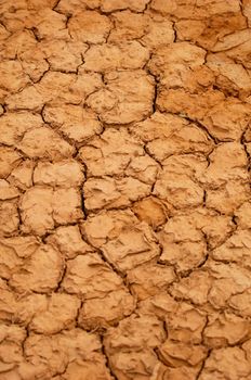 A dry water hole showing cracked mud