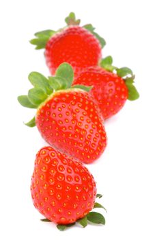Four Fresh Ripe Strawberries In a Row isolated on white background