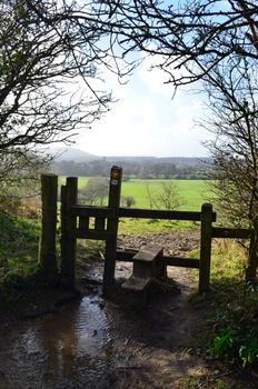 Wooden stile gate in the County of Sussex,England.