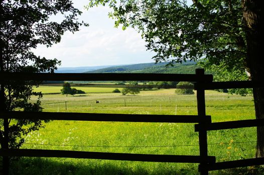 Panoramic view from the shadows in a sunny paddock