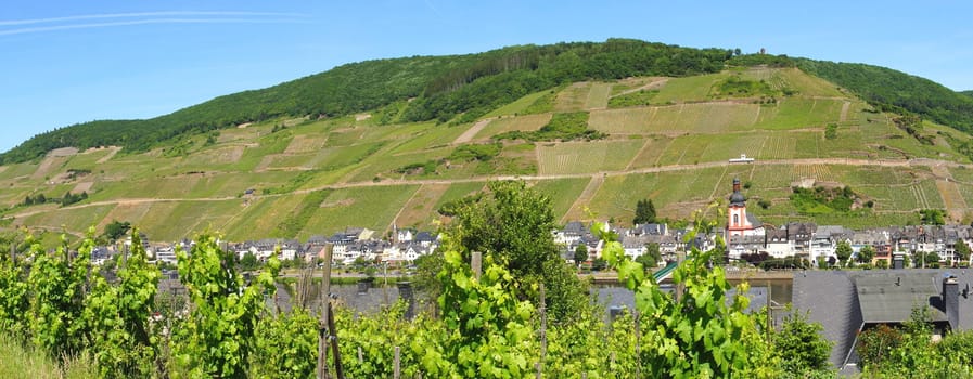 city Zell on the Moselle Panorama in springtime
