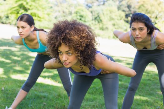 Dedicated sporty women exercising in park