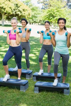 Full length portrait of sporty women doing step aerobics with dumbbells in park