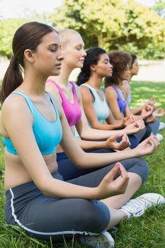 Female friends sitting in lotus position while performing yoga at park