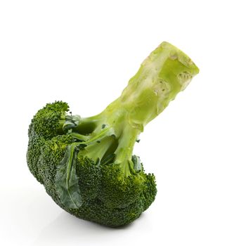 Broccoli floret