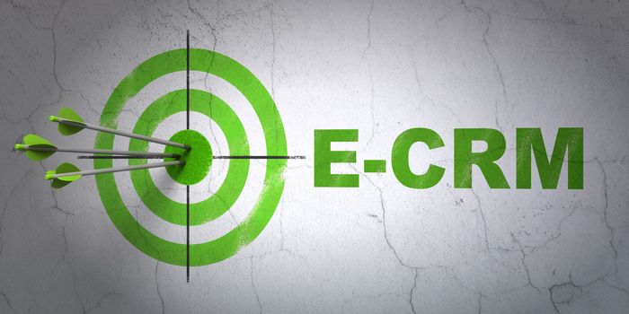 Success finance concept: arrows hitting the center of target, Green E-CRM on wall background, 3d render