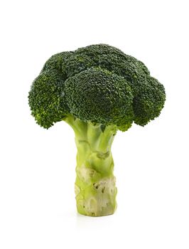 Broccoli floret