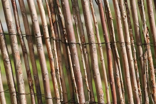 background of willow branch fencing
