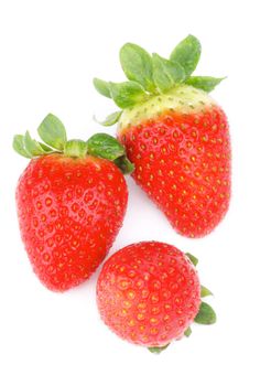Arrangement of Three Ripe Strawberries Full Body with Water Drops isolated on white background