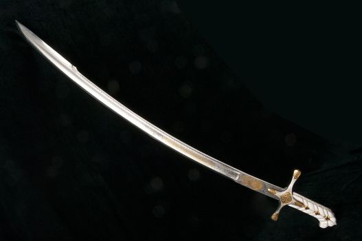 Ancient sabre. A smart variant of the fighting weapon