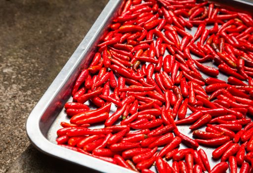 Red hot chili peppers drying in the sun in Vietnam