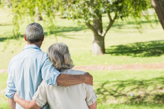 Rear view of a loving mature couple at a summer park