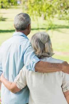 Rear view of a loving mature couple at a summer park