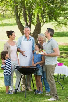 Portrait of an extended family standing at barbecue in the park