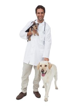 Happy vet smiling at camera with yorkshire terrier and yellow labrador on white background