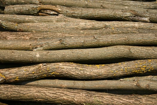 Heap of long wooden logs stacked horizontally close-up