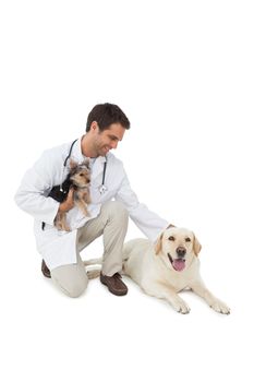 Smiling vet posing with yorkshire terrier and yellow labrador on white background