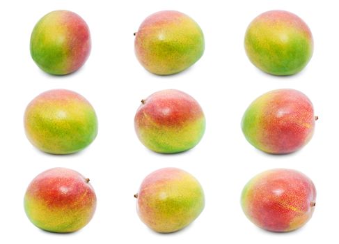 Collection of fresh juicy Mango fruit isolated on white background