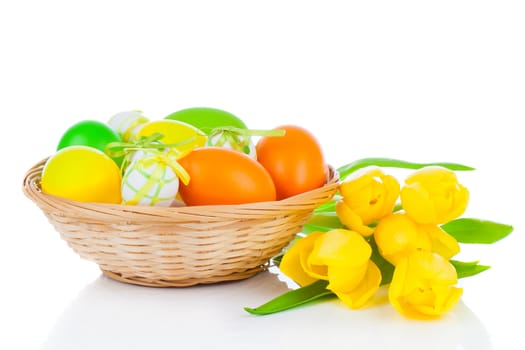 Easter eggs in a basket with yellow tulips flowers, on a white background.