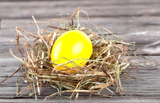 Easter Egg in a nest on wooden background