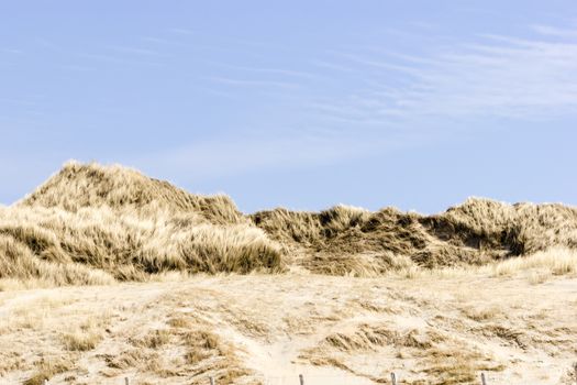 Beach on North Sea, the Netherlands