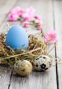 Easter eggs on wooden background