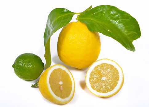 lime and lemon on the white background