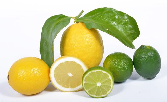 lime and lemon on the white background