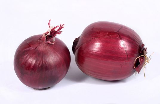 red onions on the white background