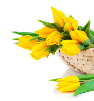 yellow tulip flowers bouquet isolated on white background