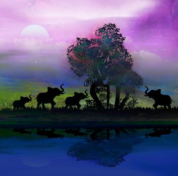 Silhouette of elephants in Africa theme setting with beautiful colorful sunset