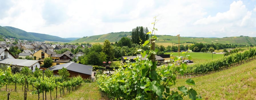 Municipality of Veldenz between Hunsrück and Moselle river panorama
