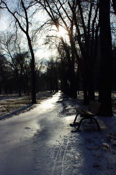 Winter alley with benches in the park