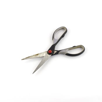 Scissors isolated on white background