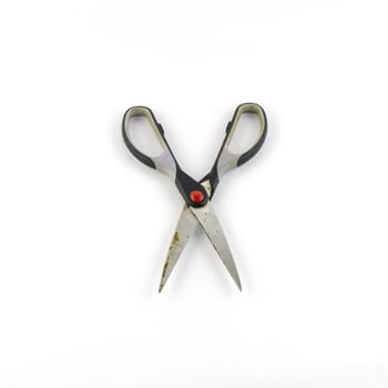 Scissors isolated on white background