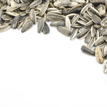 sunflower seeds isolated on white background