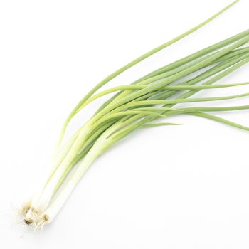 spring onion isolated on white background